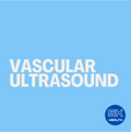3-day hands-on Vascular Ultrasound Workshop.
